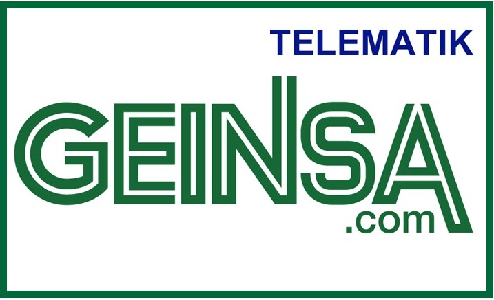 GEINSA